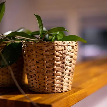 Sunset Boho Center By Uniquerent *